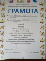 Районные соревнования по городошному спорту Районные соревнования по городошному спорту.