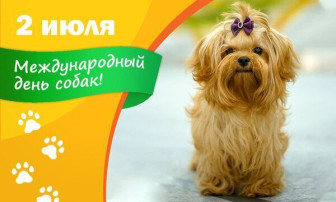 Международный день собак Международный день собак.